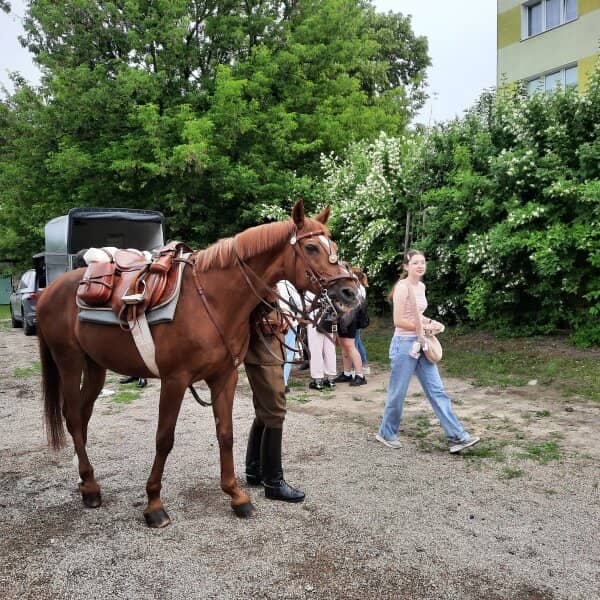 Zdjęcie