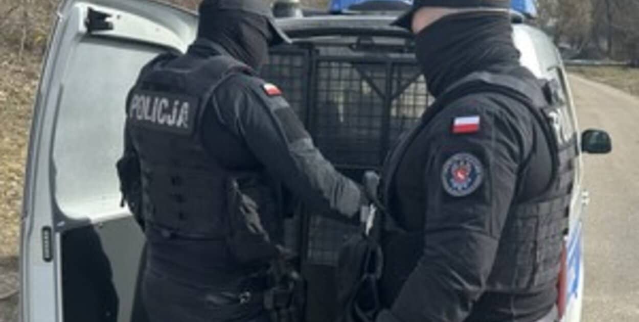 Zdjęcie