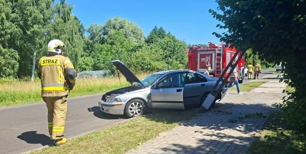 Zdjęcie