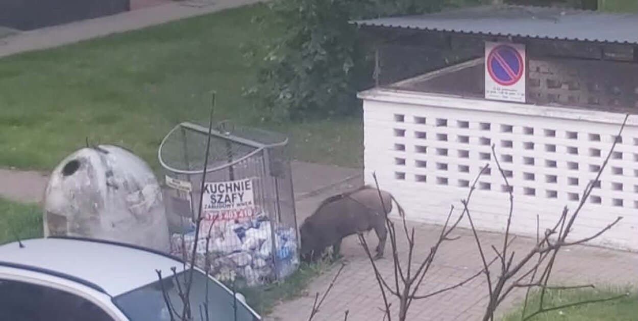 Zdjęcie