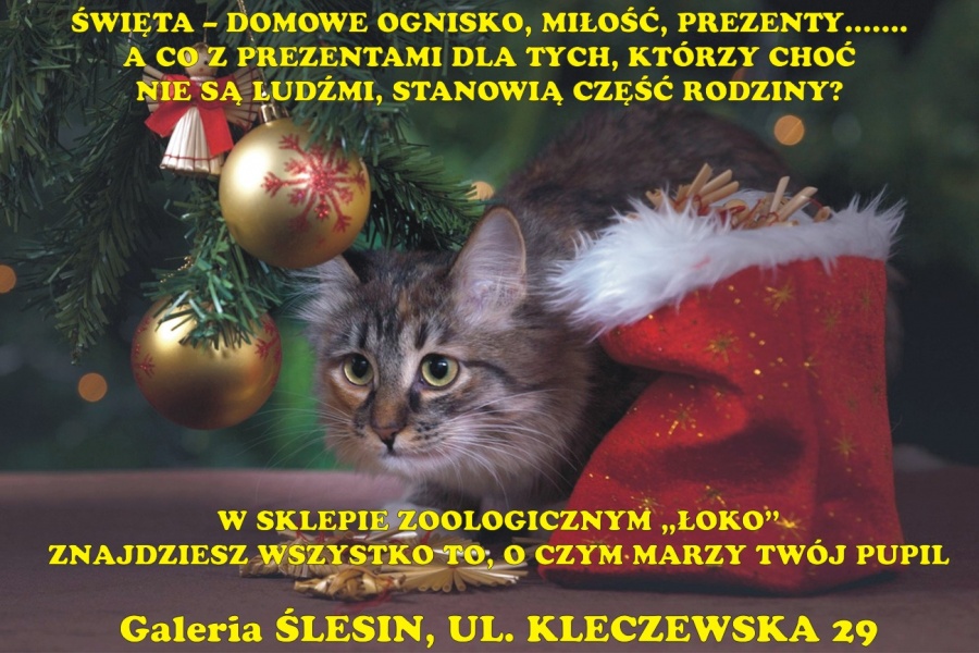 Prezenty dla MIŁOŚNIKÓW ZWIERZĄT. Pomysły na upominki dla NASZYCH UKOCHANYCH PUPILI