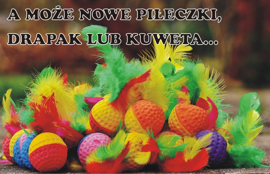 Prezenty dla MIŁOŚNIKÓW ZWIERZĄT. Pomysły na upominki dla NASZYCH UKOCHANYCH PUPILI