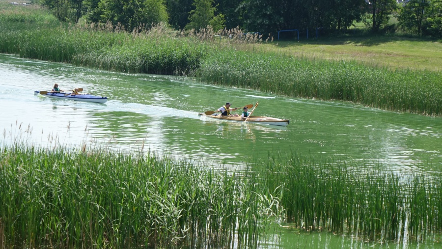  XVI Dni Staromiejskie- Niedziela na sportowo i z atrakcjami dla dzieci
