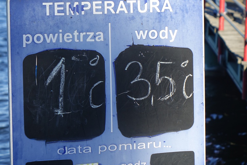 Jak wakacje w tropikach to z morsami w hawajskich przebraniach