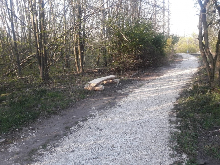 Z tarasu można już obserwować Zatorze. Wolno spacerować, więc nie brakuje tam mieszkańców