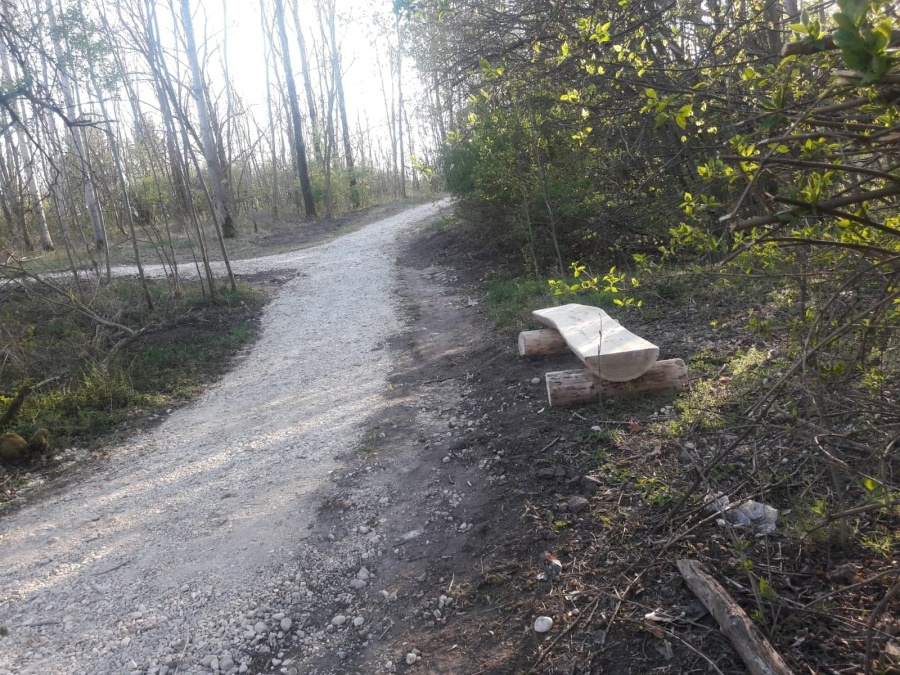 Z tarasu można już obserwować Zatorze. Wolno spacerować, więc nie brakuje tam mieszkańców