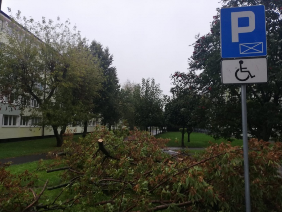 Wichura zrywała dachy i przewracała drzewa