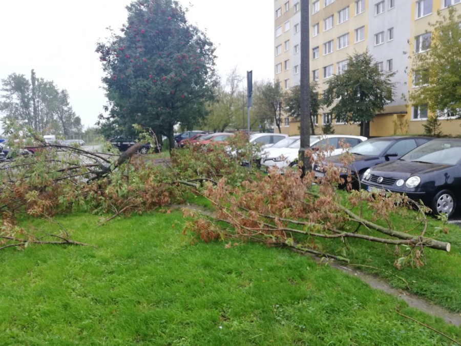 Wichura zrywała dachy i przewracała drzewa