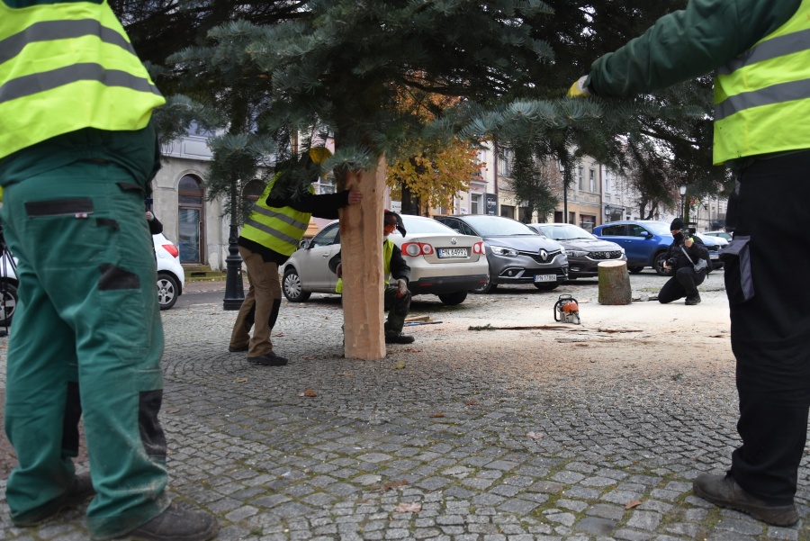 Coraz bliżej święta! Na placu Wolności stanęła miejska choinka