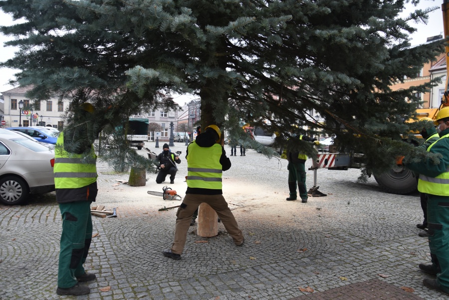 Coraz bliżej święta! Na placu Wolności stanęła miejska choinka