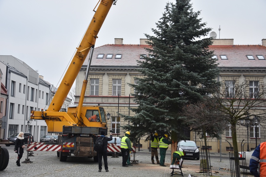 Coraz bliżej święta! Na placu Wolności stanęła miejska choinka