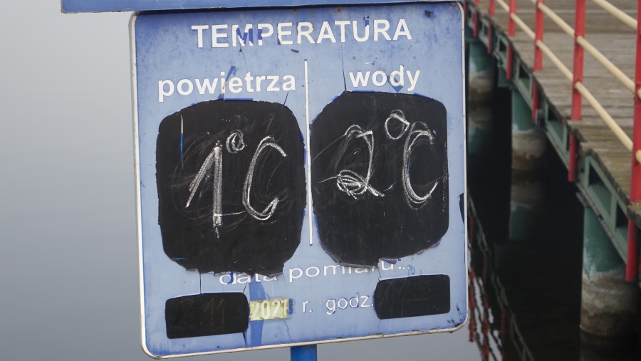 W hawajskich spódniczkach, kolorowych kapeluszach i okularach przeciwsłonecznych. Morsy w tropikach