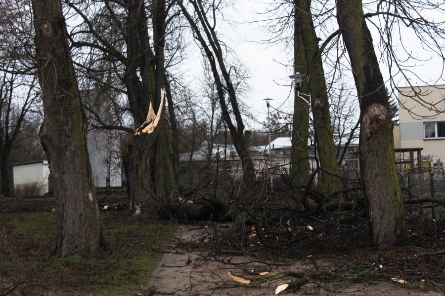 Nawałnica nad Dobrą. Zniszczone domy i parki