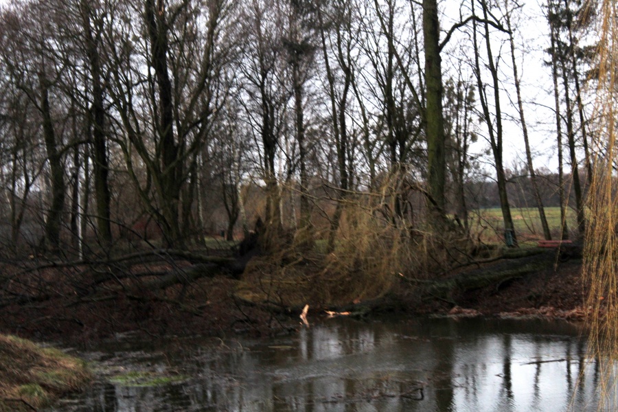 Nawałnica nad Dobrą. Zniszczone domy i parki