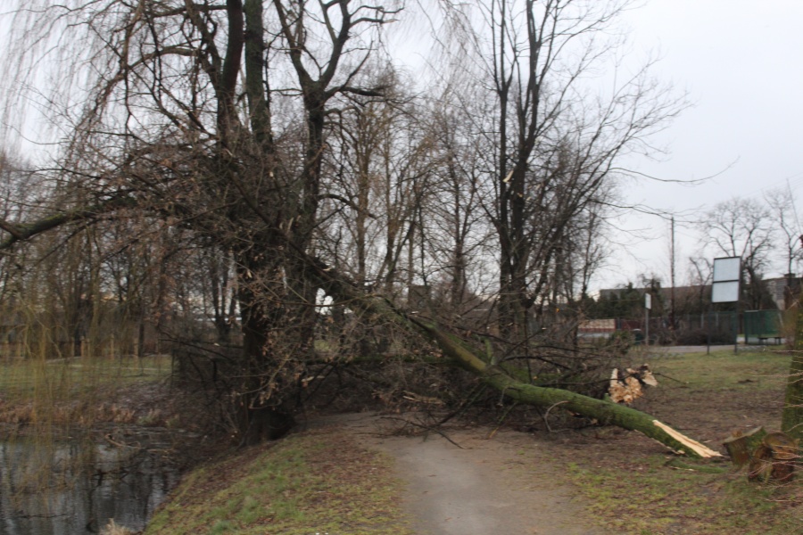 Nawałnica nad Dobrą. Zniszczone domy i parki