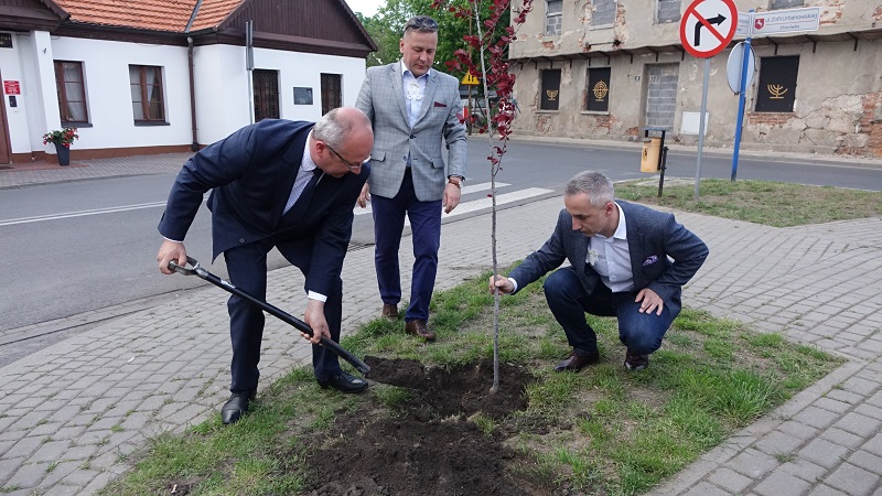 Posadzili śliwę purpurową o imieniu „Zofia”