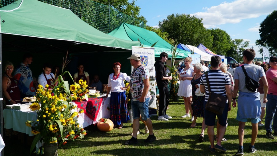 Na zielono z „Bitwą Regionów”, czyli XV Dzień Ogórka