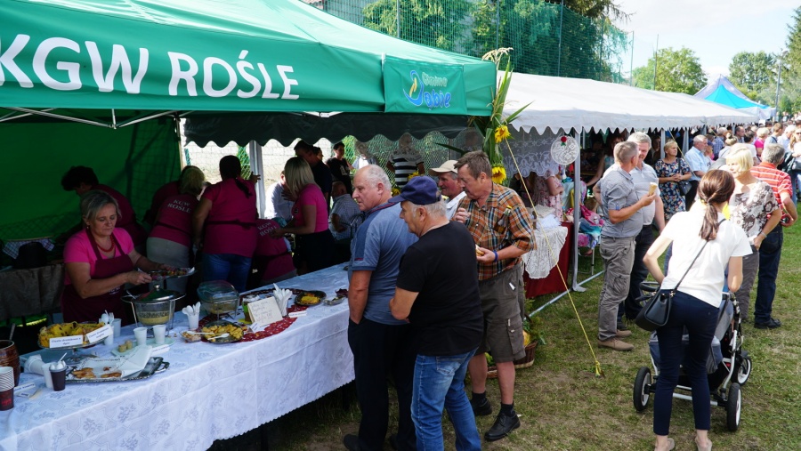 Na zielono z „Bitwą Regionów”, czyli XV Dzień Ogórka
