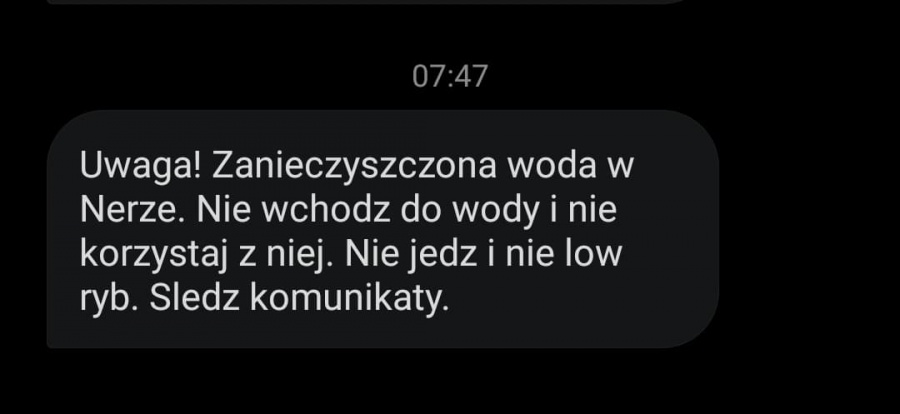 Śnięte ryby w Nerze. Trwa akcja ich odławiania
