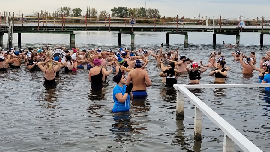 Morsy rozpoczęły kąpiele w jeziorze. Liczą na zimniejszy sezon