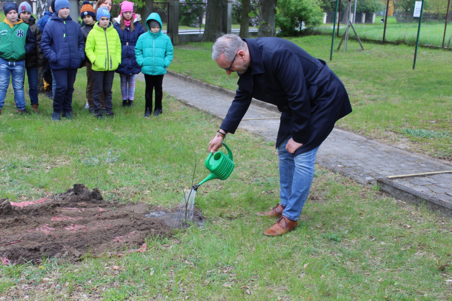 Posadzili dęby w każdej szkole w gminie. „To symbol odpowiedzialności za przyszłe pokolenia”