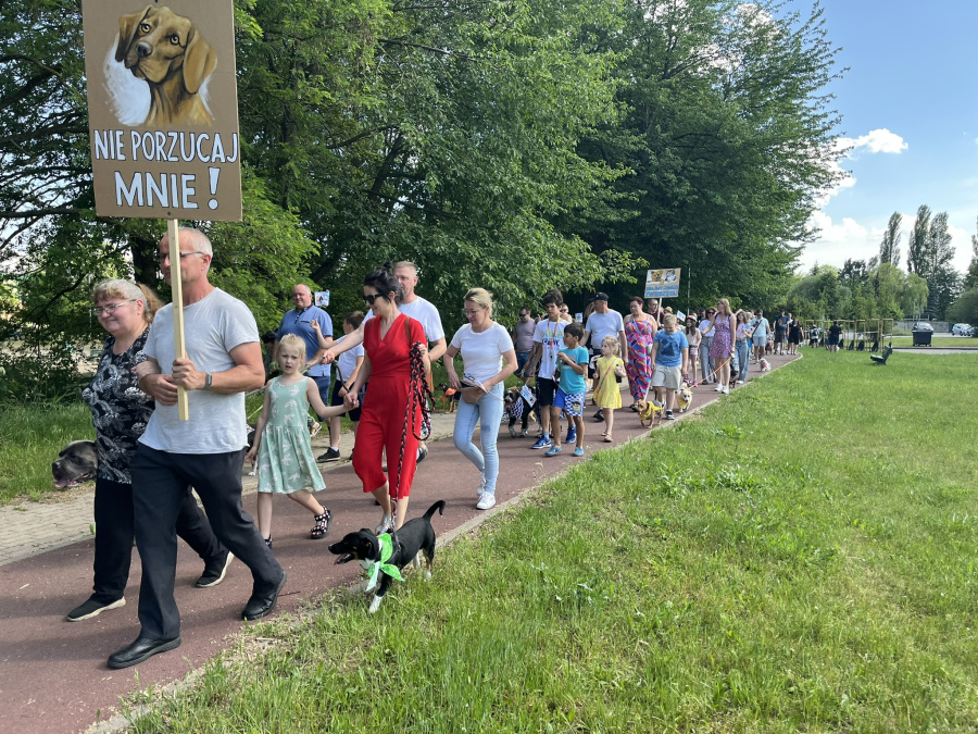 Świętowali Dzień Praw Zwierząt. 10. edycja Parady Kundelków i nie tylko