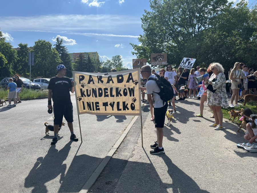 Świętowali Dzień Praw Zwierząt. 10. edycja Parady Kundelków i nie tylko