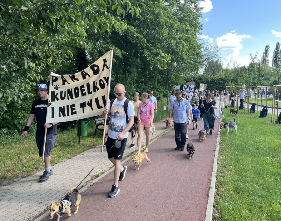 Świętowali Dzień Praw Zwierząt. 10. edycja Parady Kundelków i nie tylko