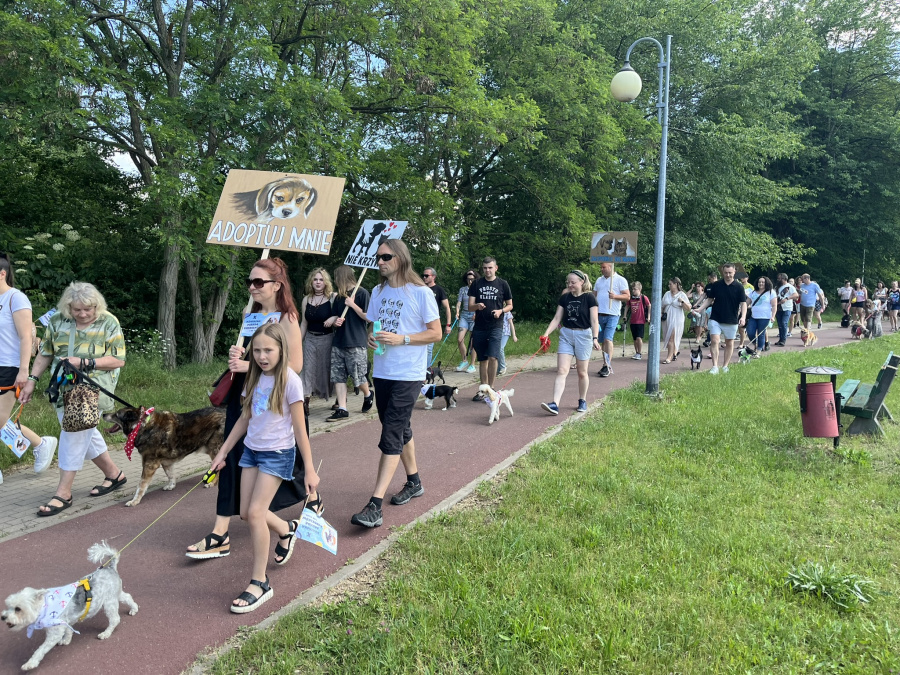 Świętowali Dzień Praw Zwierząt. 10. edycja Parady Kundelków i nie tylko