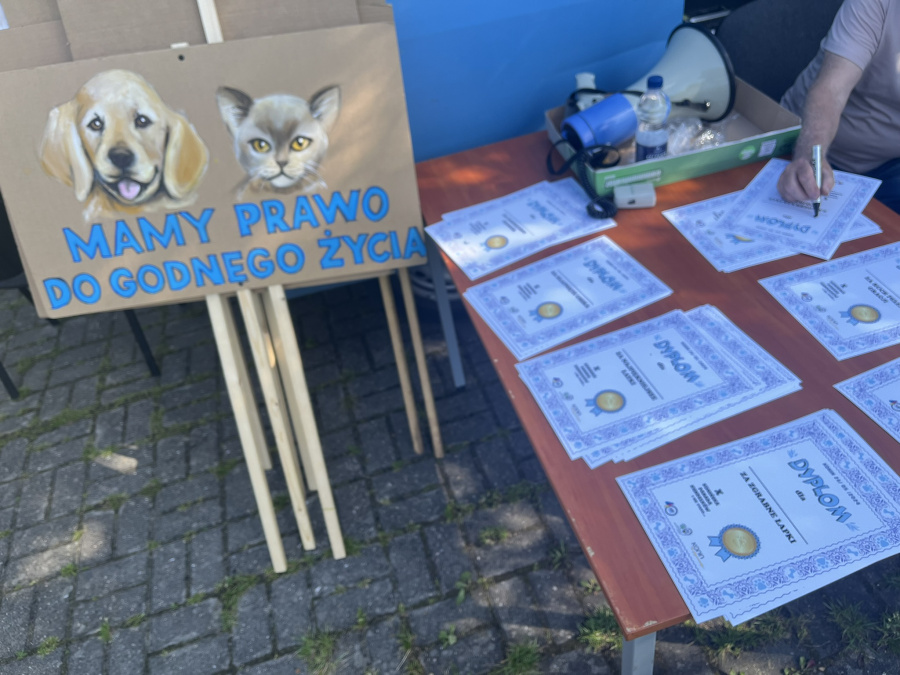 Świętowali Dzień Praw Zwierząt. 10. edycja Parady Kundelków i nie tylko