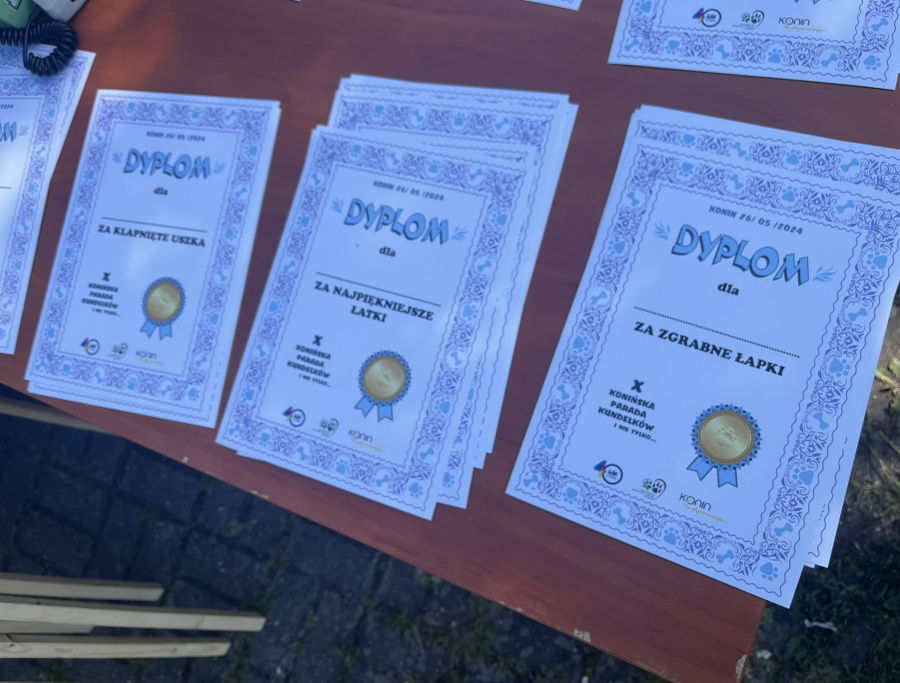 Świętowali Dzień Praw Zwierząt. 10. edycja Parady Kundelków i nie tylko