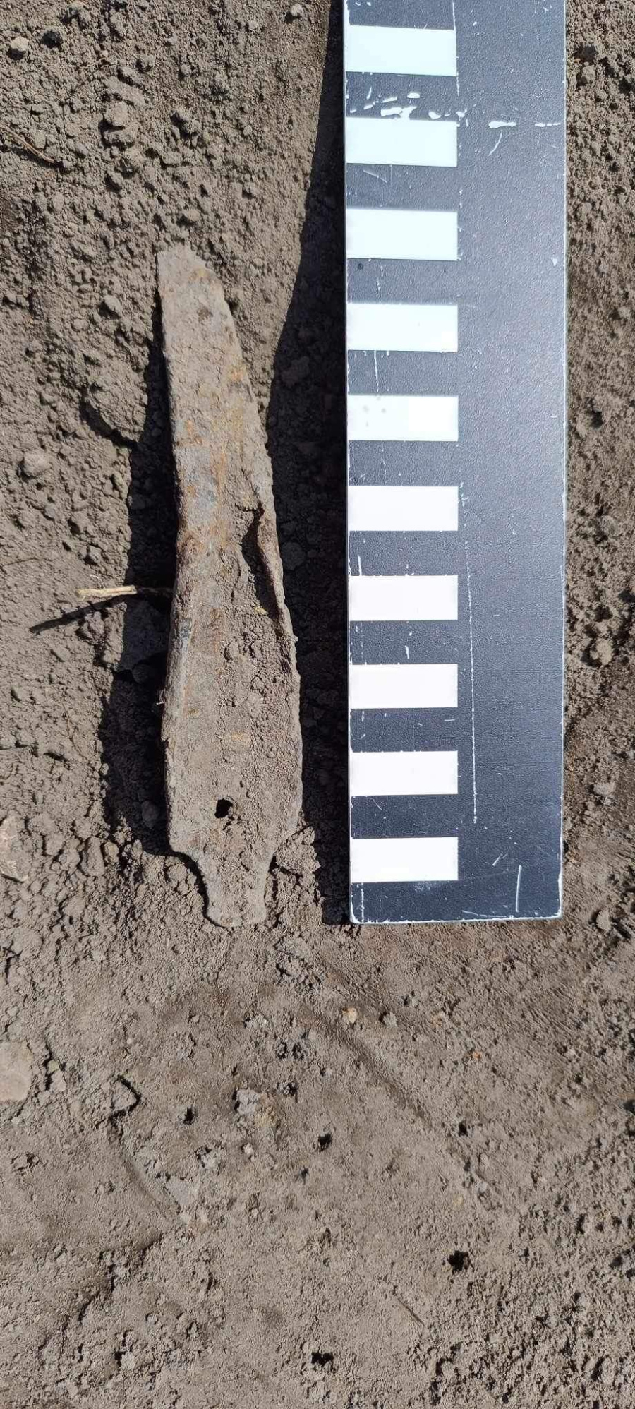 Co znaleźli archeolodzy na odkrywce Tomisławice?