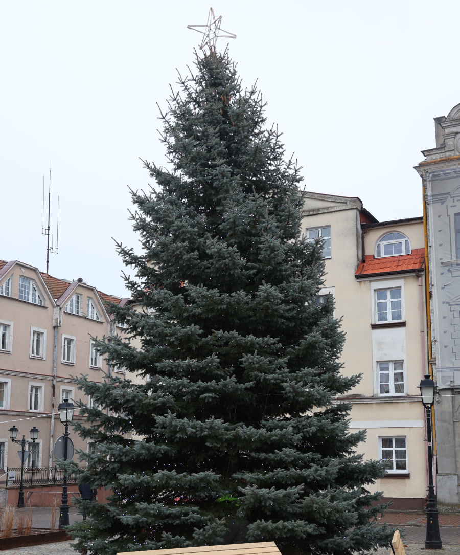 Choinka w Koninie już świeci. Jarmark Świętego Mikołaja