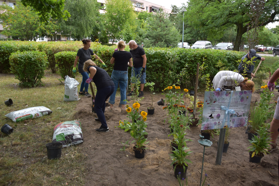 Chcą się cieszyć ptasim śpiewem. Na Zatorzu powstają azyle