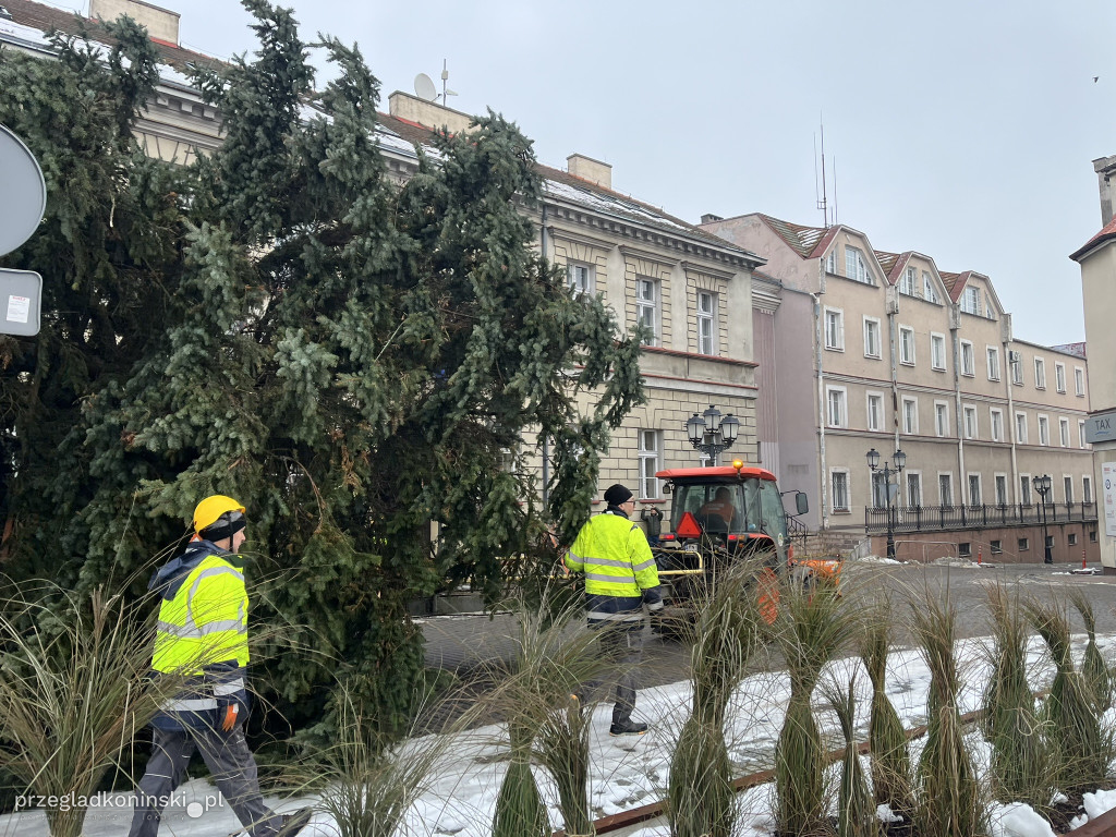 Choinka na Placu Wolności