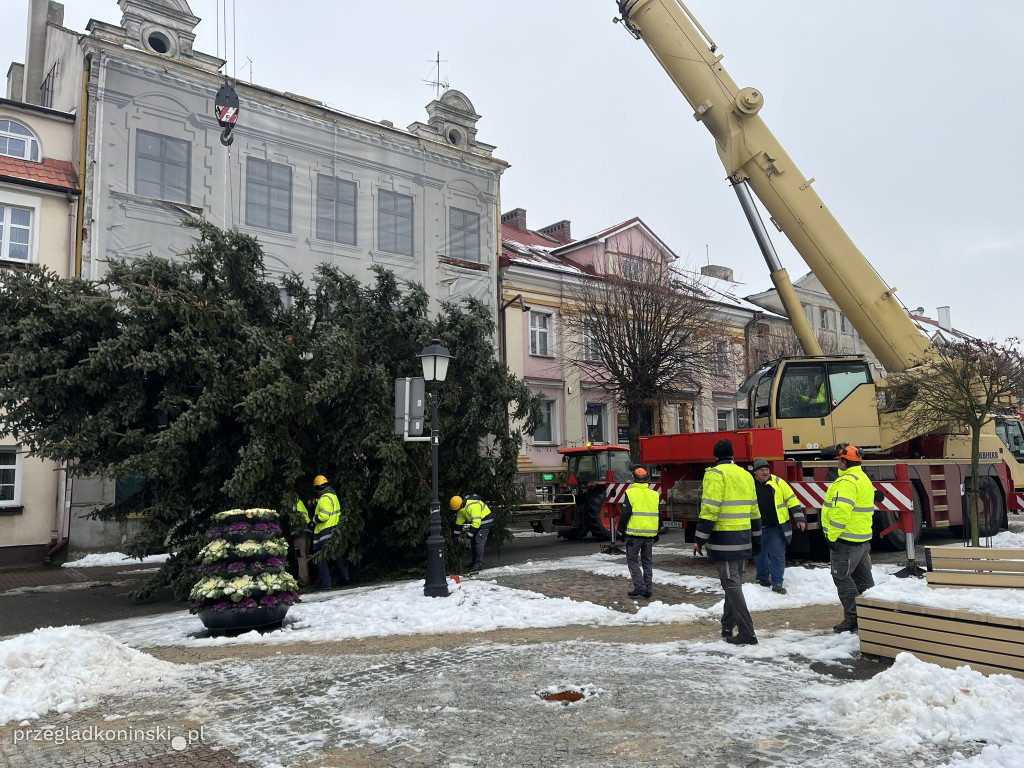 Choinka na Placu Wolności