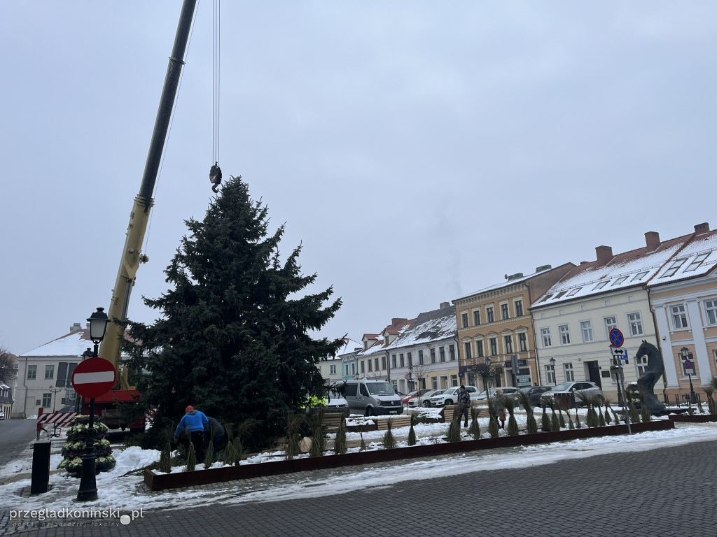 Choinka na Placu Wolności