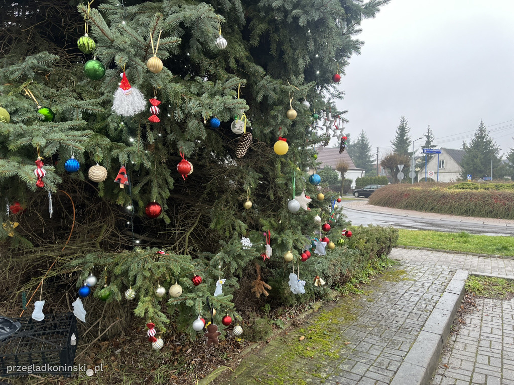Wspólne ubieranie choinki w Gosławicach