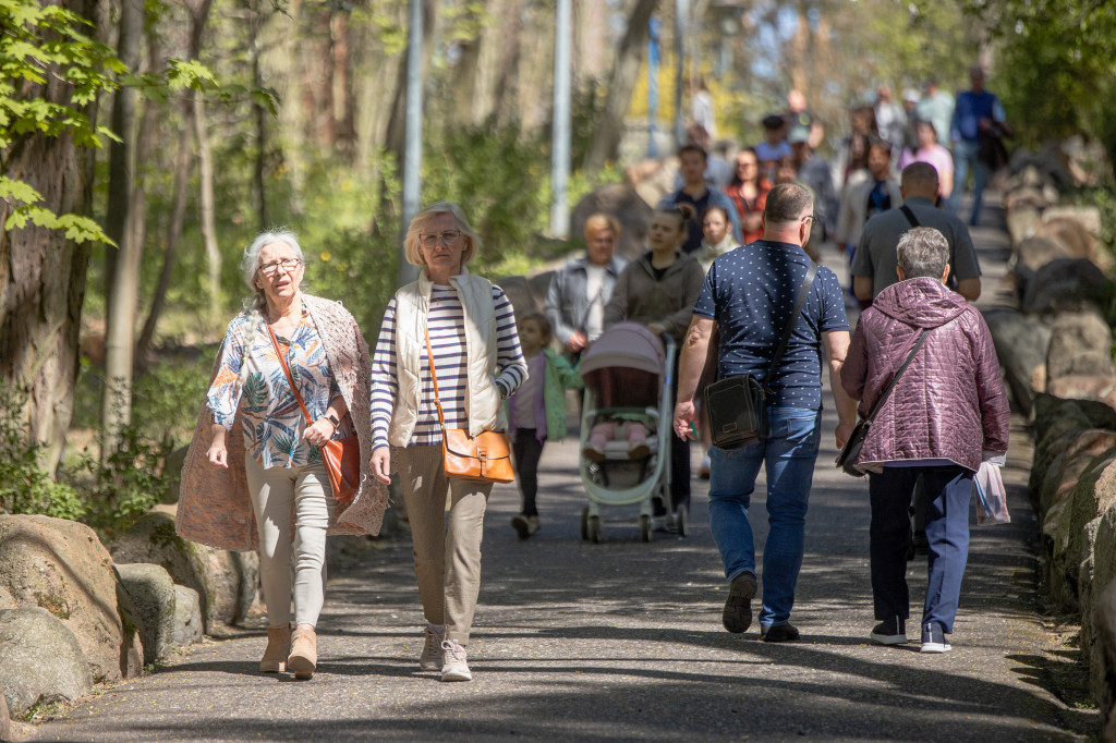 Modlitwa w sercu grąblińskiego lasu w 176. rocznicę objawień