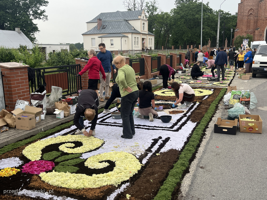 Od świtu układali kwietny dywan przed kościołem