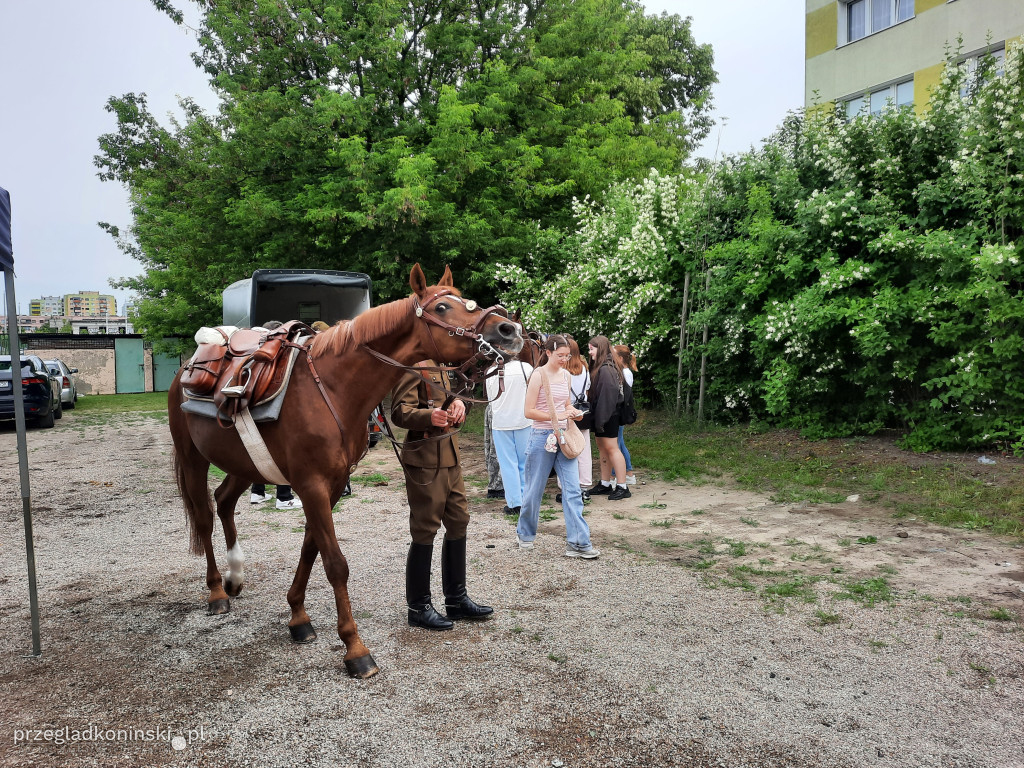 Festiwal Nauki w konińskiej „Szóstce”
