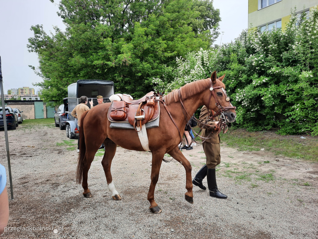 Festiwal Nauki w konińskiej „Szóstce”