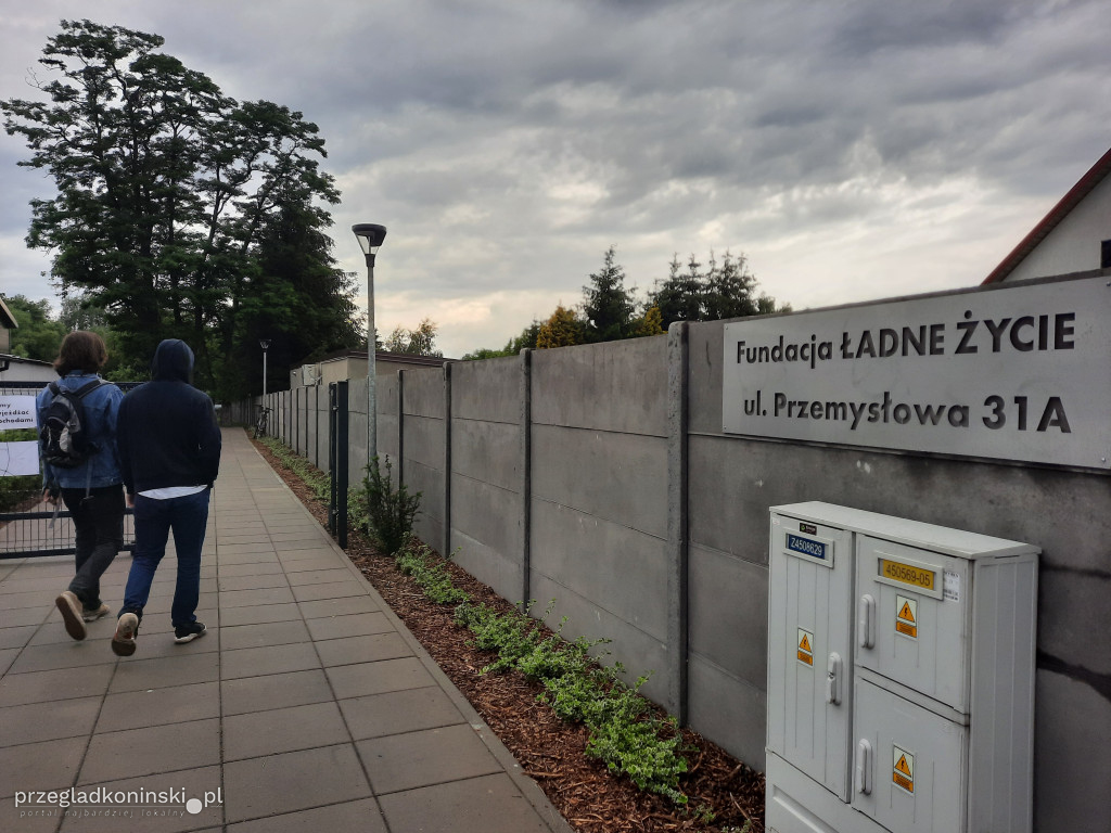 Nowa przestrzeń dla sztuki, wyjątkowa wystawa i 7. urodziny Fundacji „Ładne Życie”