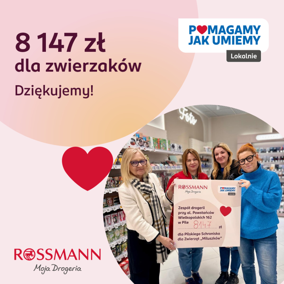 materiały partnera