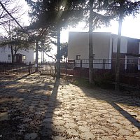 zdjecie ogloszenia
