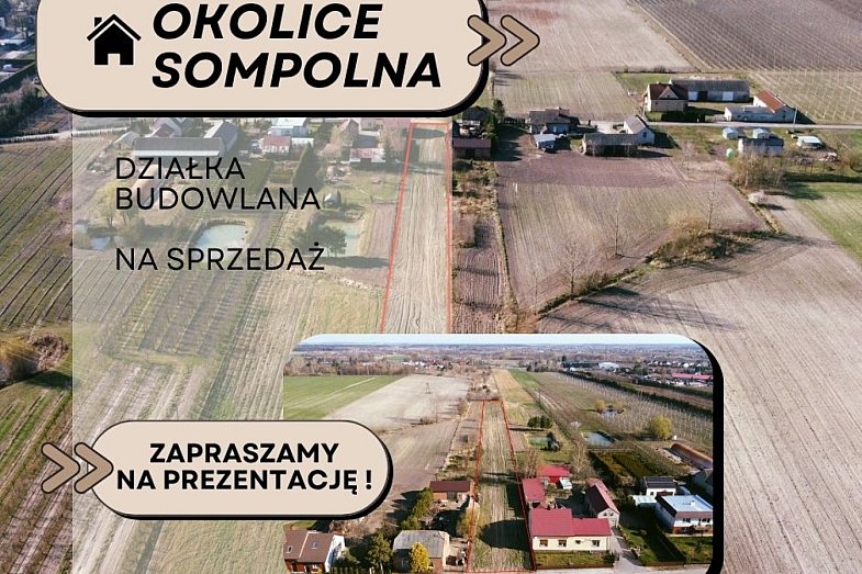zdjecie ogloszenia