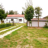 zdjecie ogloszenia