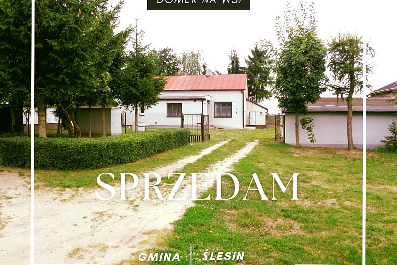 zdjecie ogloszenia