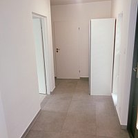 zdjecie ogloszenia