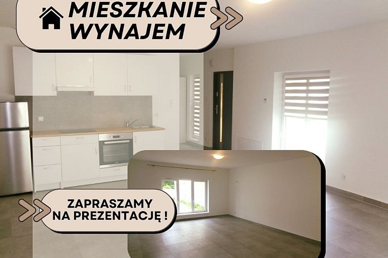 zdjecie ogloszenia